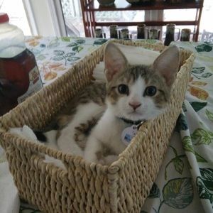 Meet your Posher, Audrianna